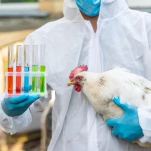 Poultry Module
