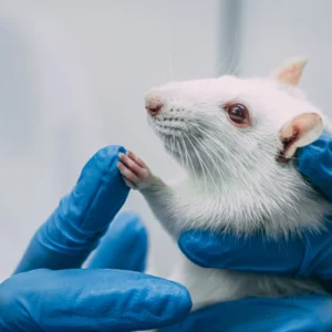 Rodent Module